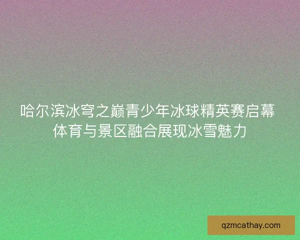 哈尔滨冰穹之巅青少年冰球精英赛启幕 体育与景区融合展现冰雪魅力 哈尔滨冰穹之巅青少年冰球精英赛启幕 体育与景区融合展现冰雪魅力
