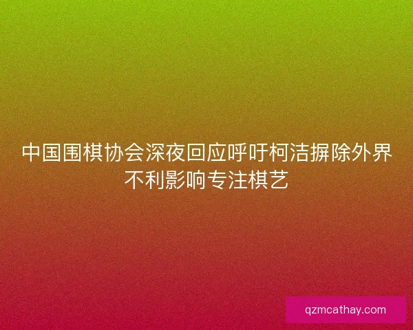 中国围棋协会深夜回应呼吁柯洁摒除外界不利影响专注棋艺