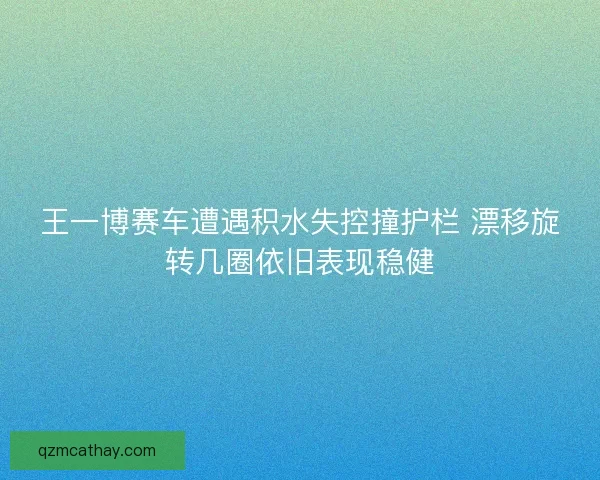 王一博赛车遭遇积水失控撞护栏 漂移旋转几圈依旧表现稳健